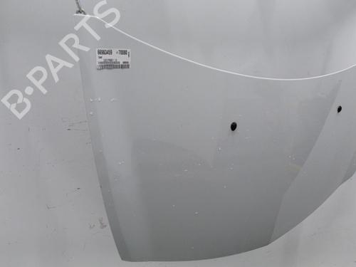 Used Hood RENAULT CLIO III (BR0/1, CR0/1) 1.5 dCi (C/BR0G, C/BR1G) (68 hp) 20465289