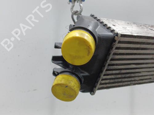 Used Intercooler Intercooler CITROËN XSARA PICASSO (N68) 1.6 HDi (90 hp) 20446665 20446665