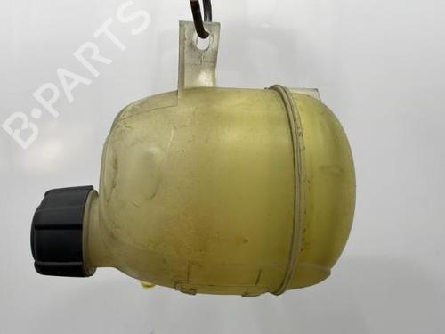 Expansion tank RENAULT MEGANE I (BA0/1_) 1.9 dTi (BA1U) | BP20387107C120 