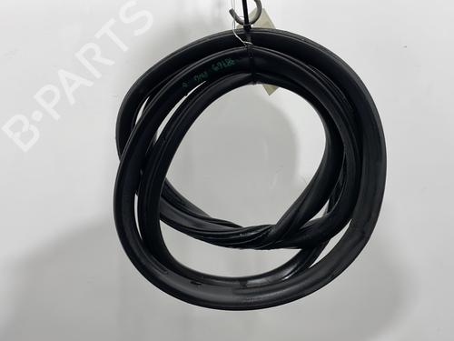 Used Rubber door seal CITROËN C4 II (NC_) 1.6 HDi 115 (114 hp) 31028059
