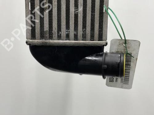 Intercooler FORD KA (RU8) 1.3 TDCi | BP20445665M30 - Image 3
