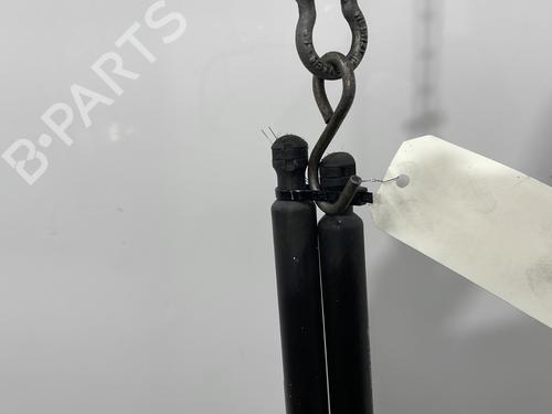 tailgate-lift-support-renault-modus-grand-modus-fjp0_-2004-31956274 main image