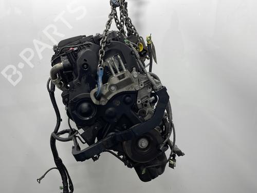Motor FORD FIESTA VI (CB1, CCN) 1.4 TDCi | BP29844397M1 
