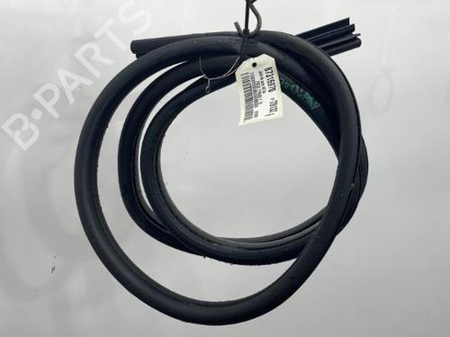 Rubber door seal FORD FOCUS II (DA_, HCP, DP) 1.6 TDCi | BP20396880C142 