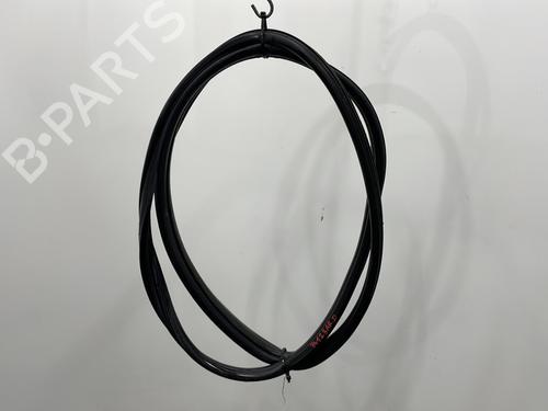 Rubber door seal FIAT GRANDE PUNTO (199_) 1.3 D Multijet | BP23780369C142 
