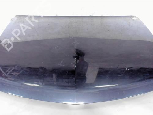 Hood RENAULT VEL SATIS (BJ0_) 3.0 dCi (BJ0S) | BP20411352C1 