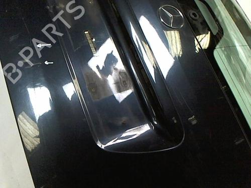 Tailgate MERCEDES-BENZ M-CLASS (W163) ML 270 CDI (163.113) | BP20434040C6