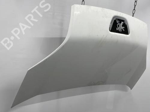 Hood PEUGEOT BIPPER (AA_) 1.3 HDi 75 | BP20445427C1