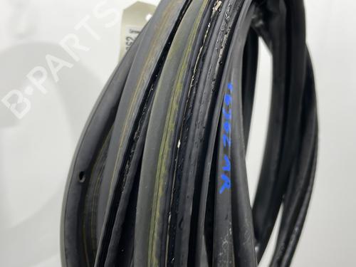 Rubber door seal CITROËN C4 II (NC_) 1.6 HDi 115 | BP26133694C142 