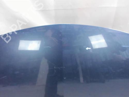 Hood RENAULT CLIO III (BR0/1, CR0/1) 1.5 dCi (C/BR0G, C/BR1G) | BP20409450C1 