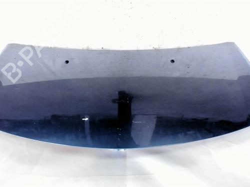 Hood RENAULT CLIO III (BR0/1, CR0/1) 1.5 dCi (C/BR0G, C/BR1G) | BP20409450C1 