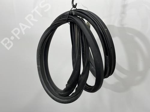 Rubber door seal SEAT IBIZA III (6L1) 1.4 TDI | BP27187049C142 