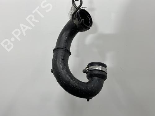 Rohr für RENAULT CLIO II (BB_, CB_) 1.5 dCi (B/CB07) (65 hp) 28449855