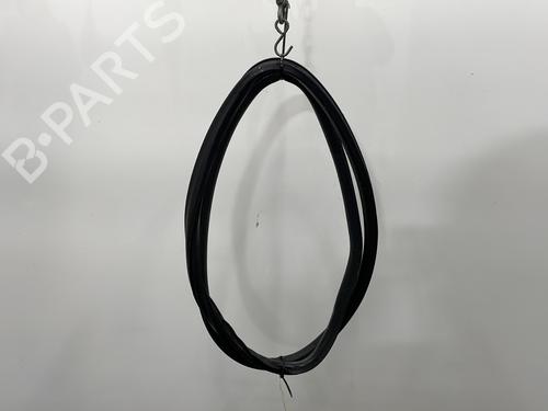Used Rubber door seal SEAT IBIZA IV (6J5, 6P1) 1.2 TDI (75 hp) 29749708