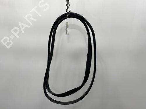 Used Rubber door seal RENAULT CLIO III (BR0/1, CR0/1) 1.5 dCi (75 hp) 20442266