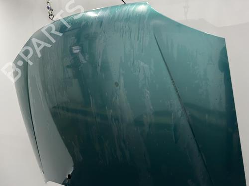 Hood FORD FIESTA IV (JA_, JB_) 1.8 DI | BP20423435C1 