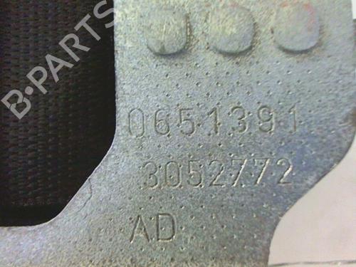 Rear left belt tensioner BMW 3 (E90) 320 d | BP20466946C89 