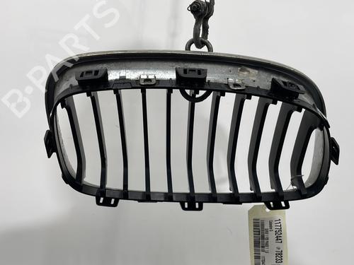 Used Grille Grille 30848290 30848290