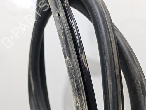 Used Rubber door seal Rubber door seal PEUGEOT EXPERT Van (V_) 1.5 BlueHDi 120 (120 hp) 39733685 39733685