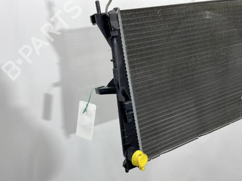 Water radiator RENAULT CLIO III (BR0/1, CR0/1) 1.2 16V Hi-Flex (BR1U, CR1U) | BP30044917M31 