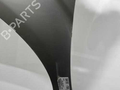 Left front fenders TOYOTA COROLLA Verso (ZER_, ZZE12_, R1_) 2.0 D-4D (CUR10_, CUR10R) | BP20394819C41 