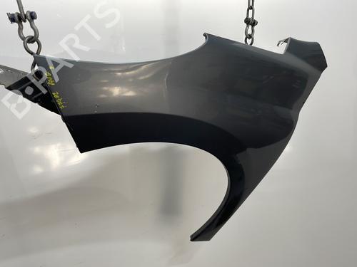 Left front fenders PEUGEOT 207 (WA_, WC_) 1.4 HDi | BP29625677C41 