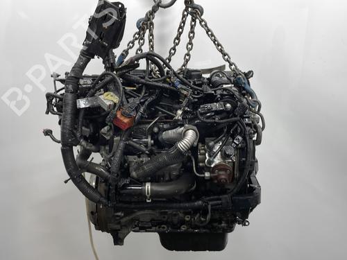 Engine FORD FIESTA VI (CB1, CCN) 1.6 TDCi | BP26224032M1 