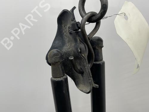 Tailgate lift support RENAULT SCÉNIC IV (J9_) 1.5 dCi 110 | BP24439462C138 
