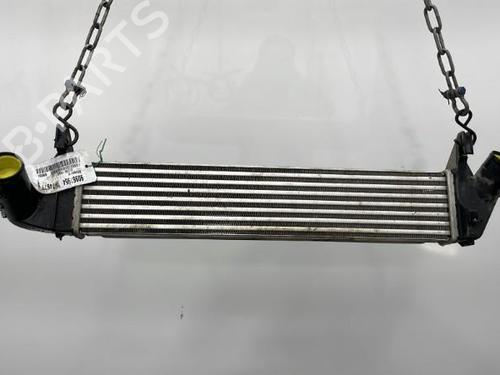 Used Intercooler DACIA DUSTER (HS_) 1.5 dCi (86 hp) 20393582