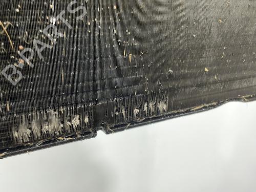 Water radiator RENAULT MASTER II Van (FD) 2.5 dCi (FD02) | BP30308389M31