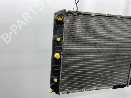 Water radiator VOLVO 740 (744) 2.4 TD | BP20460489M31 