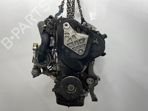 Engine RENAULT SCÉNIC III (JZ0/1_) 1.9 dCi (JZ0J, JZ1J, JZ1K, JZ1S) | BP30602777M1 