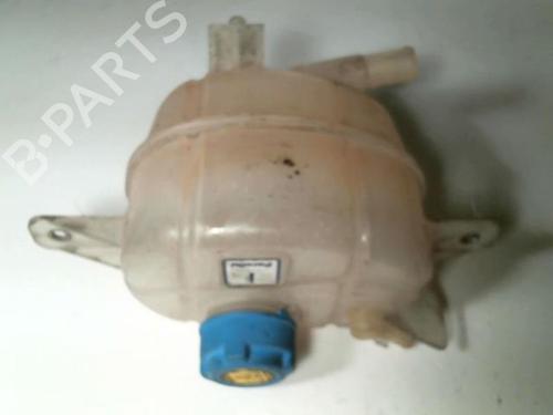 Expansion tank FIAT QUBO (225_) 1.3 D Multijet (225CXB1A, 225AXB1A, 225CXB11, 225AXB11,... | BP20457125C120 