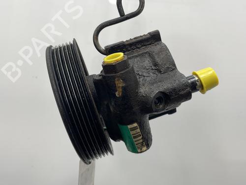 Used Steering pump RENAULT AVANTIME (DE0_) 3.0 V6 (DE04, DE0T) (207 hp) 25265608