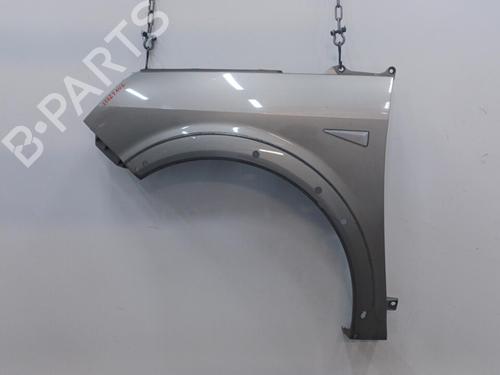 Used Left front fenders RENAULT SCÉNIC II (JM0/1_) 1.9 dCi (JM14) (131 hp) 20468426