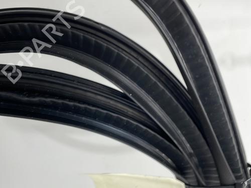 Rubber door seal FORD KUGA II (DM2) 2.0 TDCi | BP27518962C142 
