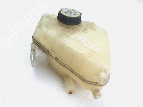 Expansion tank FORD FIESTA VI (CB1, CCN) 1.25 | BP20449191C120 