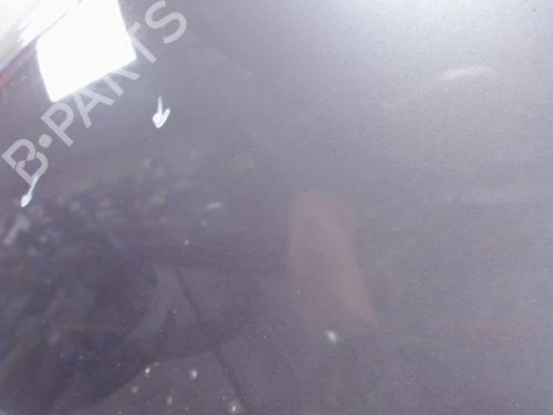 Used Hood Hood RENAULT SCÉNIC II (JM0/1_) 1.5 dCi (JM0F) (82 hp) 20461464 20461464