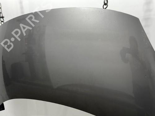 Hood RENAULT SCÉNIC III (JZ0/1_) 1.5 dCi | BP20397369C1