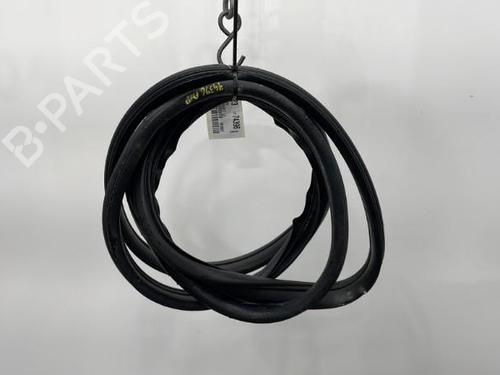 Used Rubber door seal RENAULT SCÉNIC II (JM0/1_) 1.9 dCi (JM14) (131 hp) 20439258