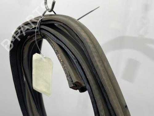 Rubber door seal RENAULT KANGOO Express (FW0/1_) Z.E. (FW0Z, FW1Z) | BP29419868C142 