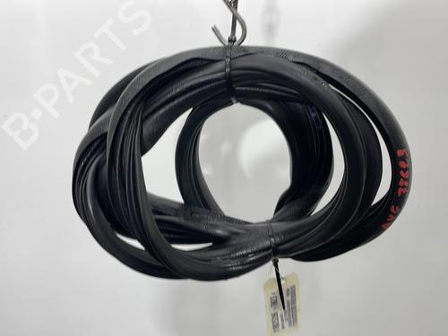 Gomma contorno porta RENAULT CLIO III (BR0/1, CR0/1) 2.0 16V Sport (CR0N, CR1P) (197 hp) 30941447