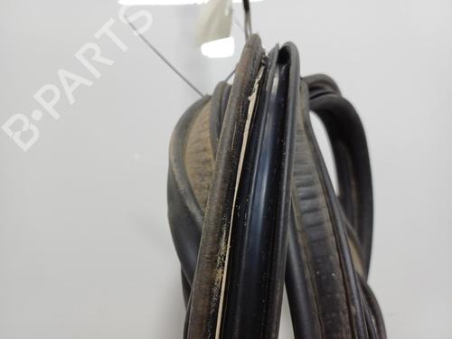 Gummiliste Gummiliste RENAULT CLIO III (BR0/1, CR0/1) [2005-2014] 37589617 37589617