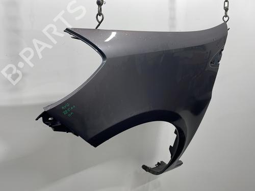 Left front fenders RENAULT CLIO III (BR0/1, CR0/1) 1.2 16V Hi-Flex (BR1U, CR1U) | BP29976649C41