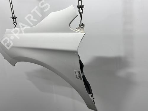 Left front fenders CITROËN C4 II (NC_) 1.6 HDi 115 | BP28451024C41 
