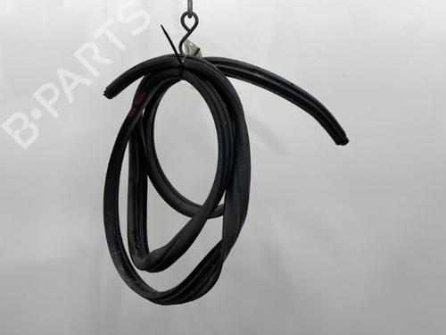 Gummiliste RENAULT MEGANE I (BA0/1_) 1.9 dTi (BA1U) (80 hp) 20387124