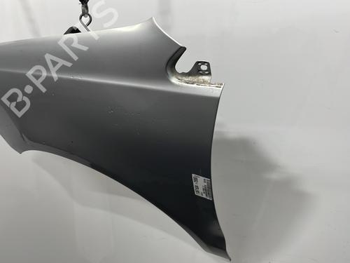 Left front fenders VW POLO IV (9N_, 9A_) 1.4 TDI | BP29749636C41 