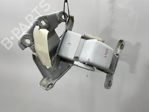 Hinge/Door check strap RENAULT TRAFIC II Bus (JL) 2.0 dCi 90 (JL00, JL01, JL0H, JL0M, JL0P, JL0S) | BP28709204C146 