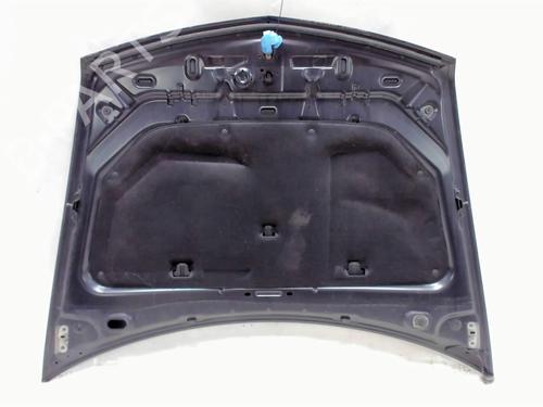Hood RENAULT VEL SATIS (BJ0_) 2.0 dCi (BJ03, BJ0B) | BP20466650C1 