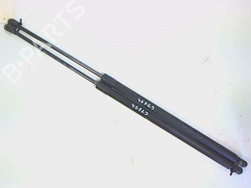 Used Tailgate lift support VW CADDY III MPV (2KB, 2KJ, 2CB, 2CJ) 1.9 TDI (75 hp) 22914332